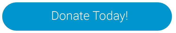 donate now button